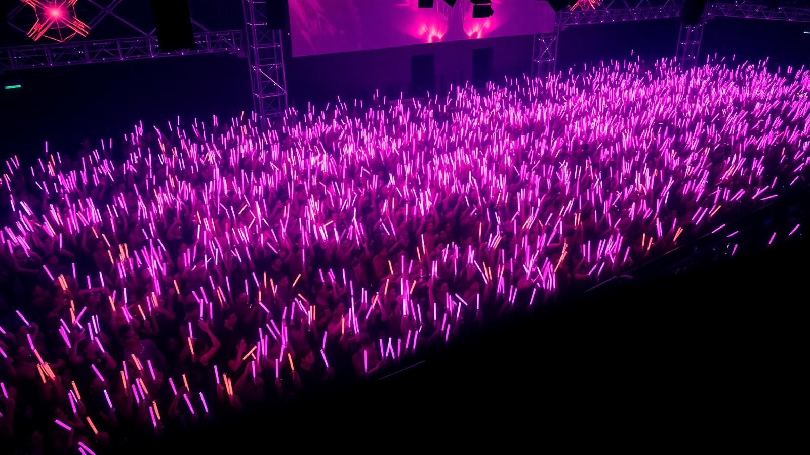 BTS fans, known as ARMY, illuminated in unison during a concert